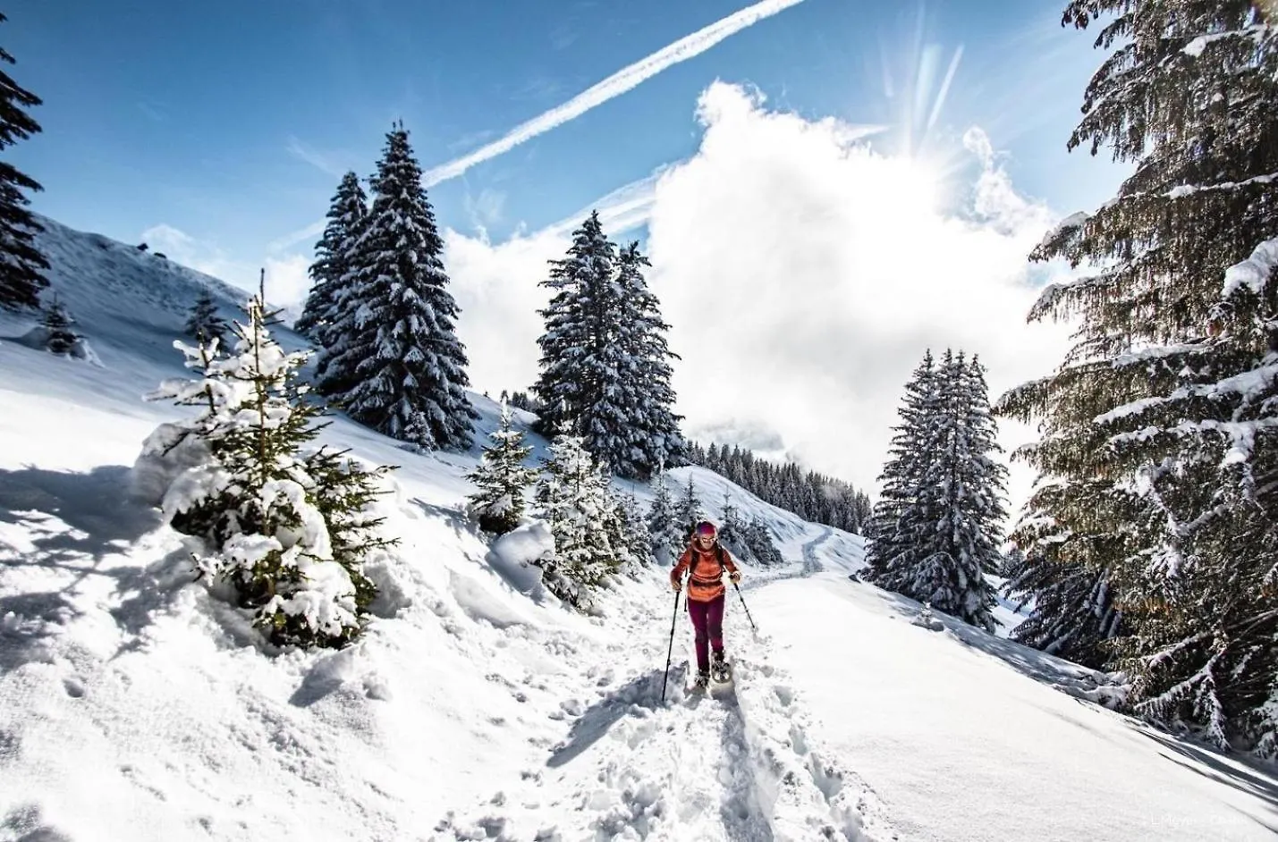 Balcons De Chatel Bc19 Nature & Mountain 0*,  France